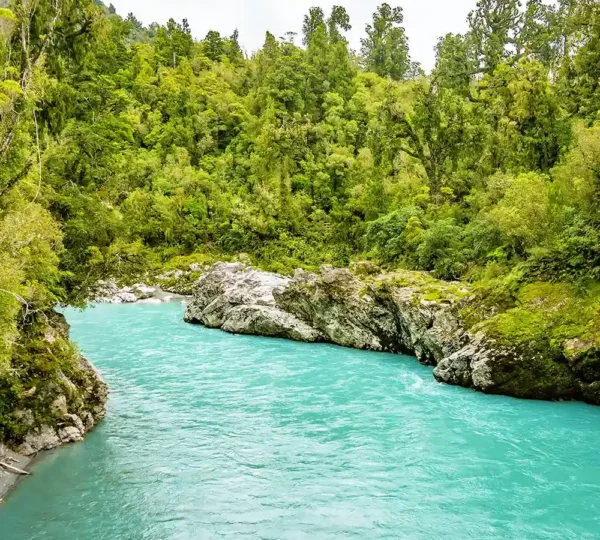 blue green river through a forest