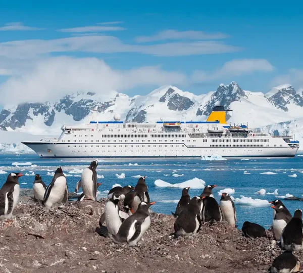 antartica snow capped mountain landscape with a cruise ship and penguins nearby
