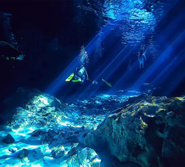divers inside a cave pool